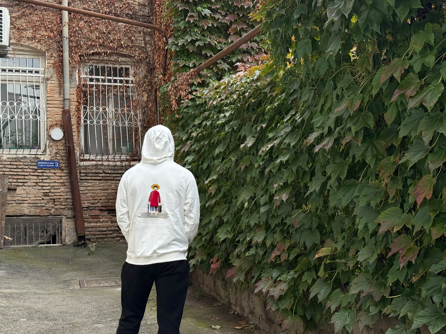 მეთევზე