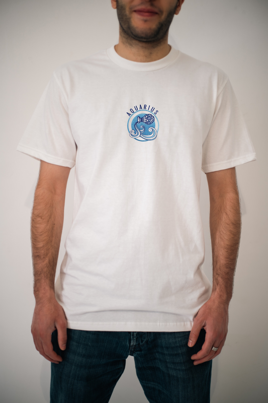 AQUARIUS - მერწყული ზოდიაქო