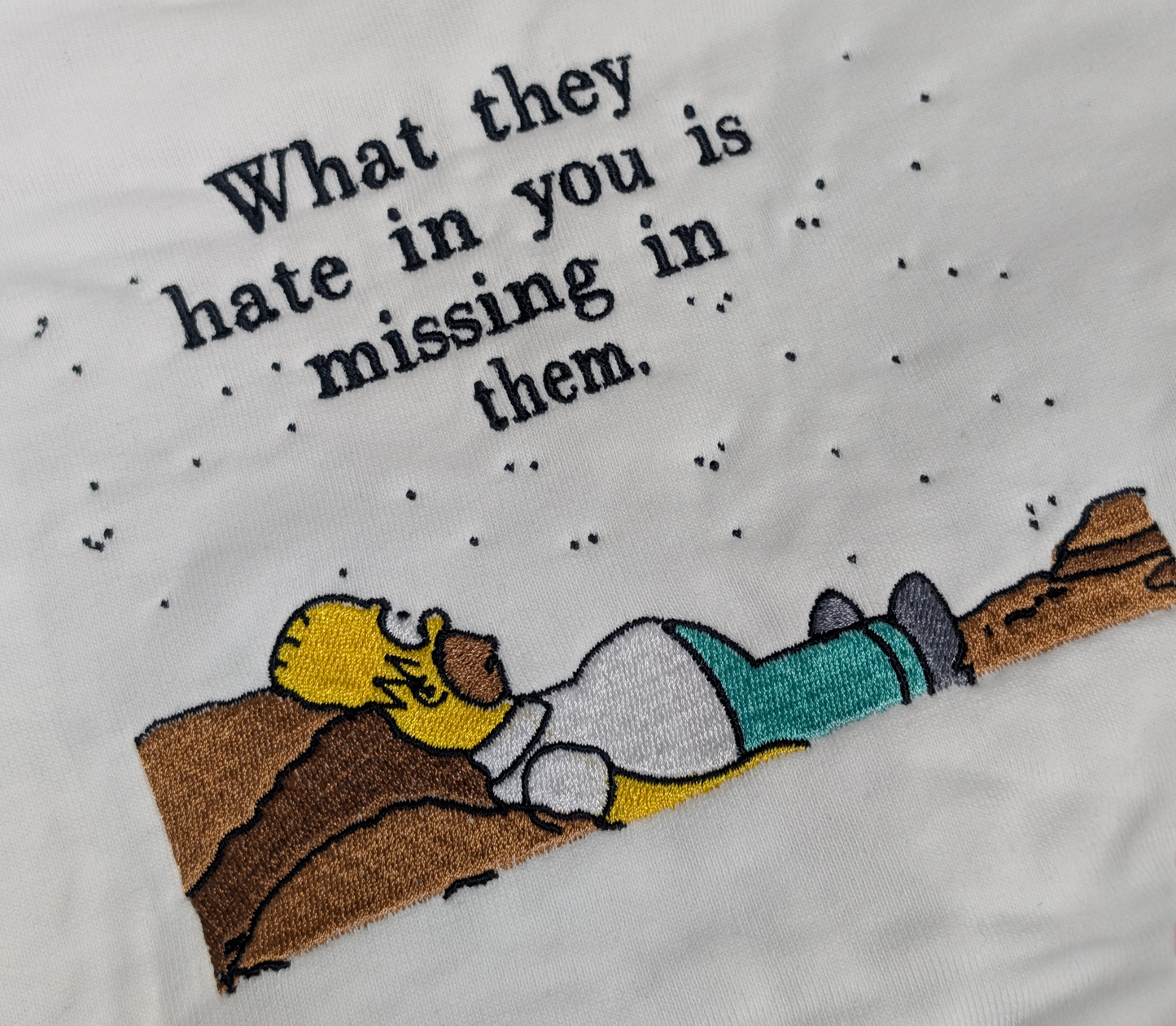 What They Hate In You Is Missing In Them